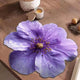 Absorbent Flower Countertop Mat for Kitchen – Quick Dry Dish & Spill Mat: g