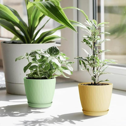 (Pack of 5) 6-Inch Unbreakable Plastic Flower Pots with Drainage & Saucers – Indoor & Outdoor Planters;g